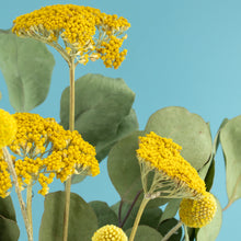 Load image into Gallery viewer, Dried Flower Stand Bamboo Circle - Natural (Floribana)