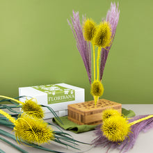 Load image into Gallery viewer, Dried Flower Stand Bamboo - Oblong Caramel (Floribana)