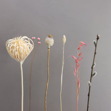 Load image into Gallery viewer, Dried Flowers Kit - 'Midsummer Frolic' Bouquet, includes Caramel Square Flower Stand (Floribana)