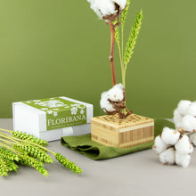 Load image into Gallery viewer, Dried Flower Stand Bamboo - Square Natural (Floribana)