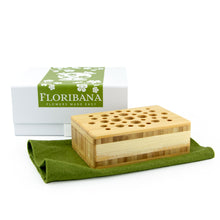 Load image into Gallery viewer, Dried Flowers Kit - 'Moonbeam Drift' Bouquet, includes Natural Oblong Flower Stand (Floribana)