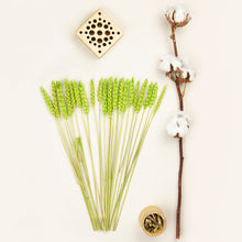 Load image into Gallery viewer, Dried Flower Stand Bamboo - Square Natural (Floribana)
