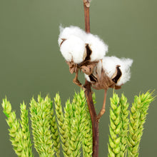 Load image into Gallery viewer, Dried Flower Stand Bamboo - Square Natural (Floribana)
